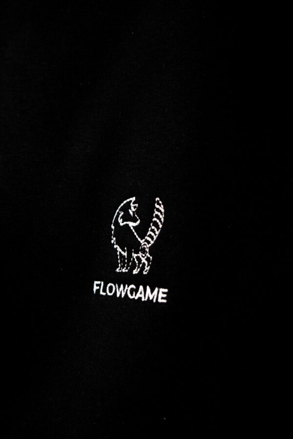 HOODIE AER 001 - Imagen 2