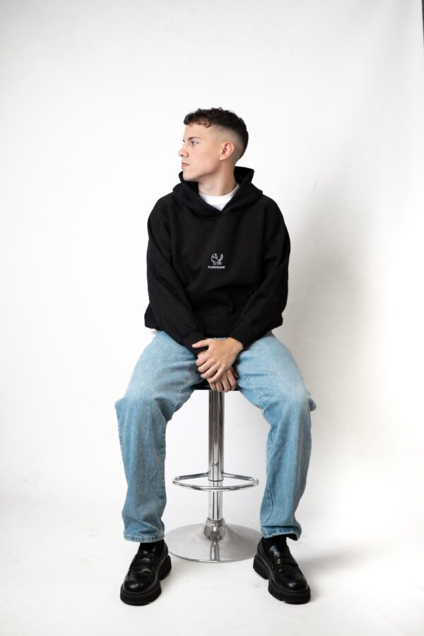 HOODIE AER 001